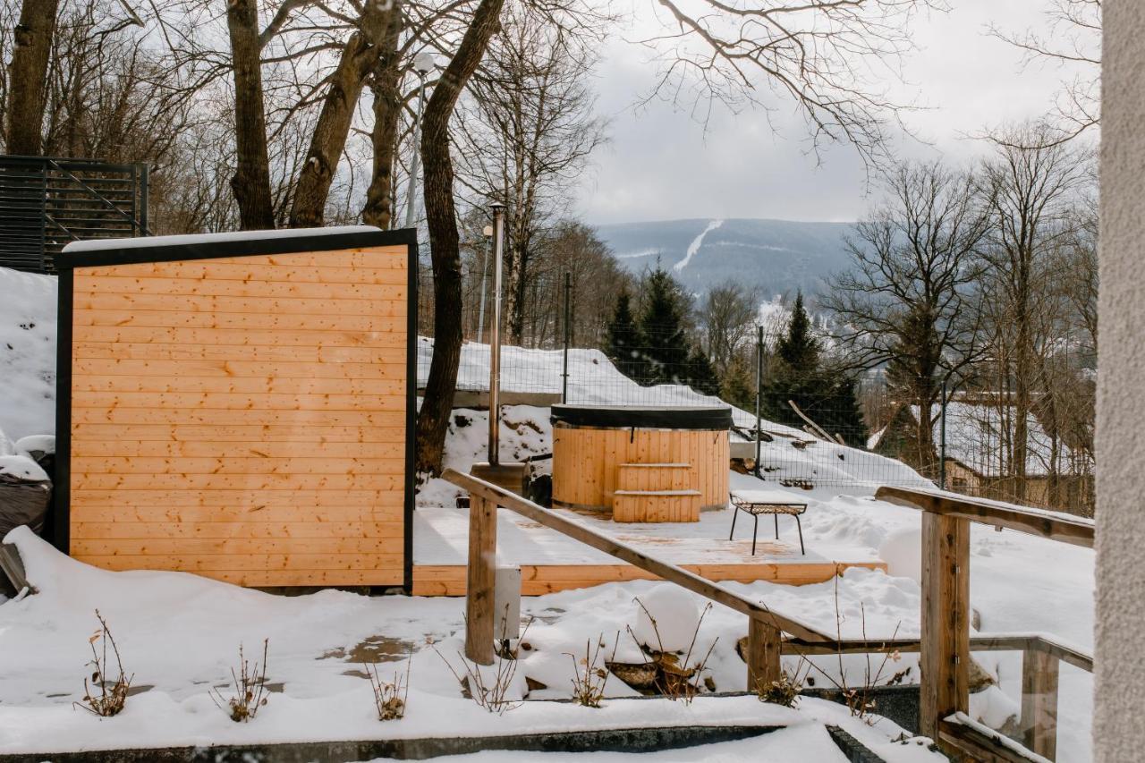 Apartamenty Larice - Podgrzewany Basen, Balia I Sauna Świeradów-Zdrój Εξωτερικό φωτογραφία